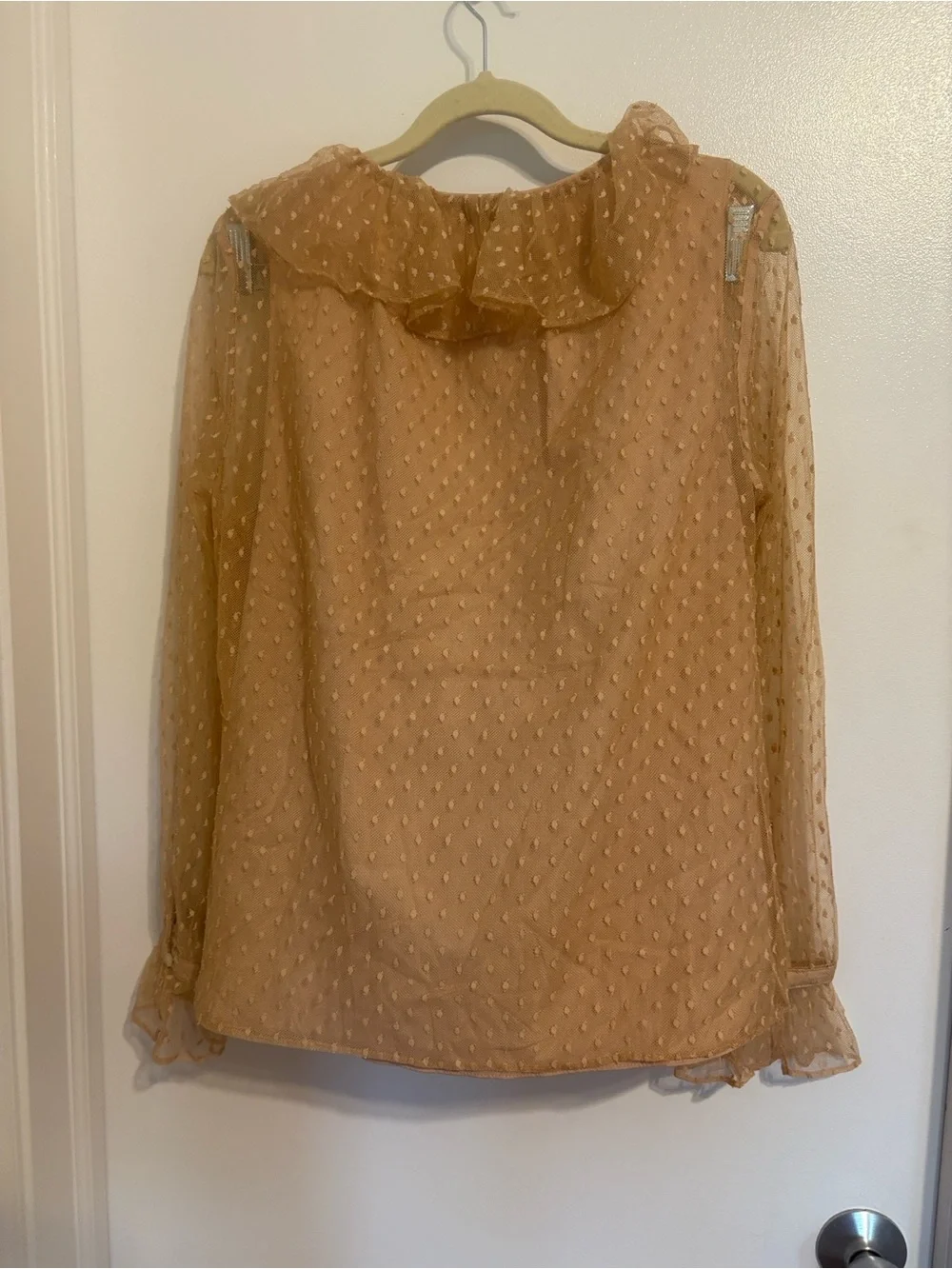 J. Crew Sheer Ruffle Tie-Neck Blouse - Tan